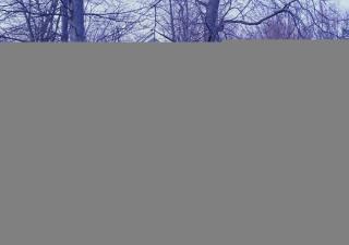 65 Thrush Way, Shelburne VT  05482-7665 exterior