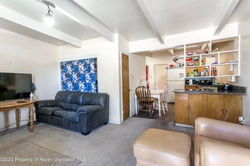 619 Elm St, Leadville CO 80461-3915 exterior