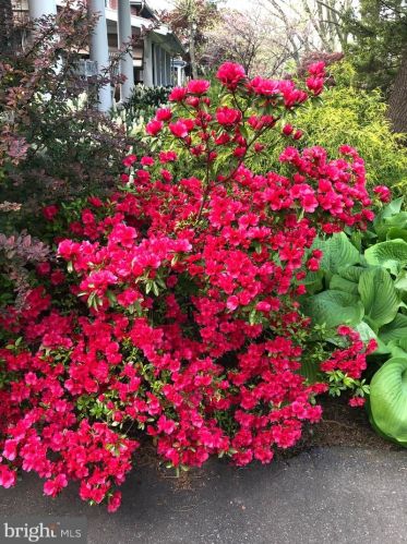 638 State St, Lancaster PA  17603-2641 exterior