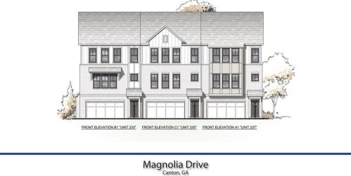 229 Marietta St, Holly Springs, GA 30114-0030