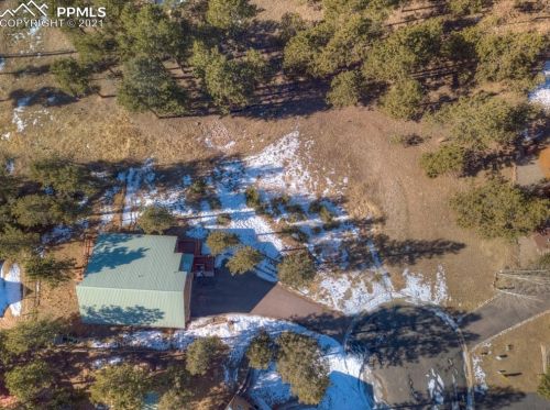 341 Panther Ct, Woodland Park CO exterior