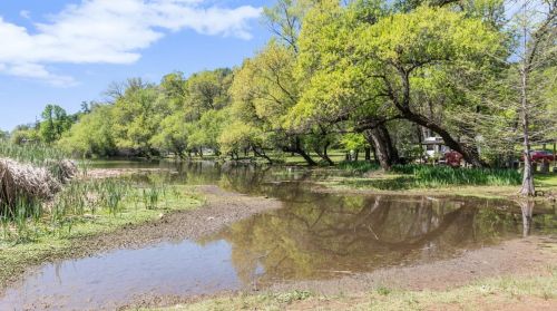 3205 Newtown Rd, Swansboro Country, CA 95667-7970