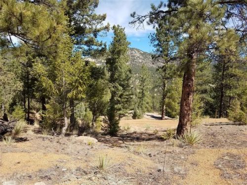 15537 Elk Creek Rd, Pine, CO 80470-8911