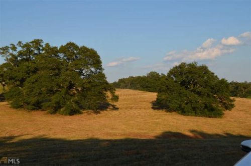 28 Middle Fork Ln, Carnesville, GA 30521-7631