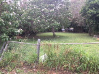 745 Polk St, Brownsville, TX 78520-7126