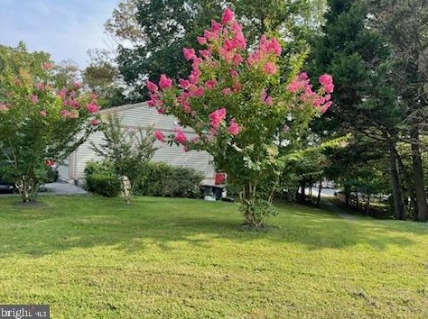 8735 Cold Plain Ct, Springfield, VA 22153-2423