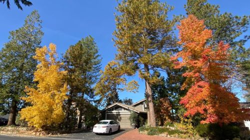 1042 Sandalwood Dr, Vallecito, CA 95247-9664