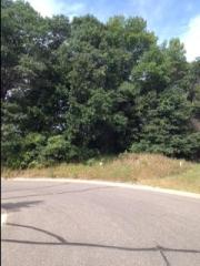 1110 Deer Run, Spectacle Lake, MN 55008-2662
