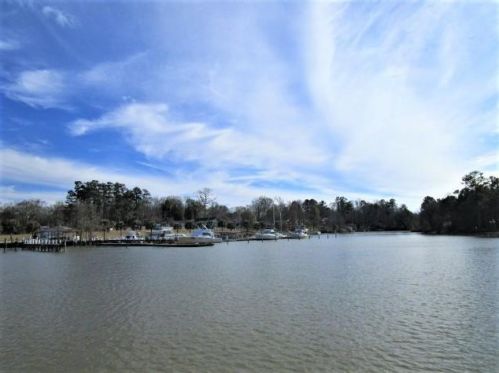 244 Lake Marion Ln, Vance, SC 29163-9555
