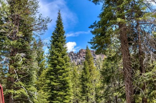 7500 Riv Rd, Truckee CA  exterior