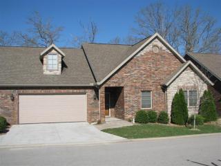 183 Stillwood Dr, Branson, MO 65616-7503