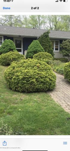 409 Brookside Ave, Oakhurst, NJ 07755-1401