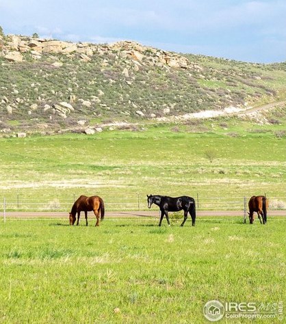 6085 Spring Glade Rd, Loveland CO  80538-1000 exterior