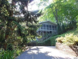 412 Long Hollow Rd, Pigeon Forge, TN 37876-8908