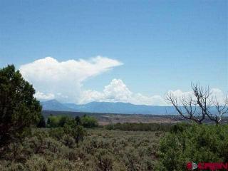 25529 Cactus Park Rd, Grand Mesa CO  81413-5220 exterior