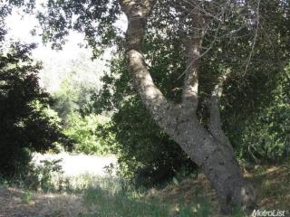 178 Virginia St, Auburn, CA 95603-5346