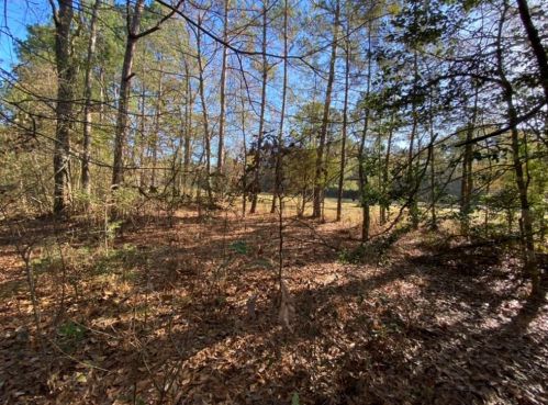 17258 Old Hwy 105, Conroe TX  77304-4434 exterior