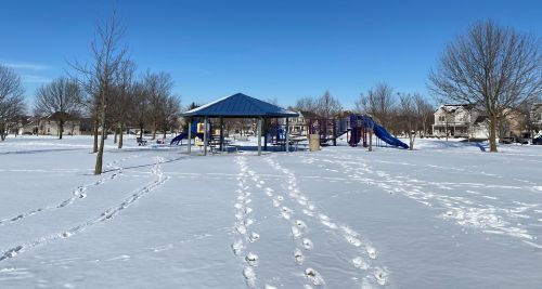 791 Delacourte Ave, Lemont IL  60490-5006 exterior