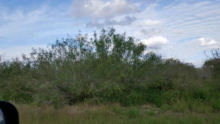 5930 Sweet Water Rd, San Pedro, TX 78380-5366