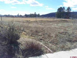 1610 Taylor Cir, Vallecito, CO 81122-9472