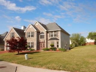 11601 Flemming Ct, Hampton, GA 30228-3455