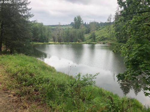 000-0 Scoggins Valley Rd, Gaston, OR 97119