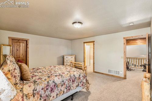 130 Elk Grove Ln, Woodland Park CO 80863-9158 exterior