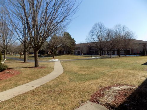 165 Dover Dr, Des Plaines IL  60018-1263 exterior