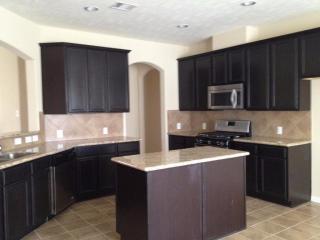 3303 Rosemary Trace Dr, Spring TX  77386-4009 exterior