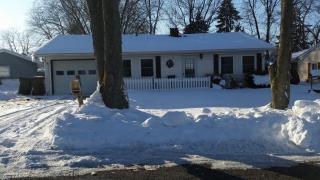 432 Ahlborn Dr, Peotone, IL 60468-9487