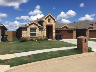 9132 Gristmill Ct, Fort Worth TX  76179-5007 exterior