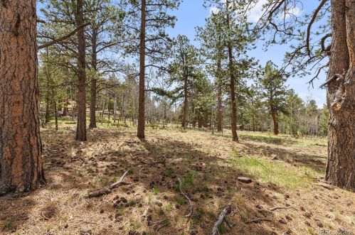 132 Wagon Tongue Rd, Bailey CO  80421-1057 exterior