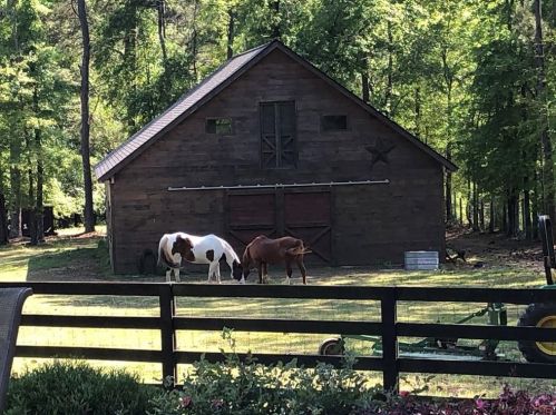 2238 Lenora Rd, Loganville, GA 30052-2538