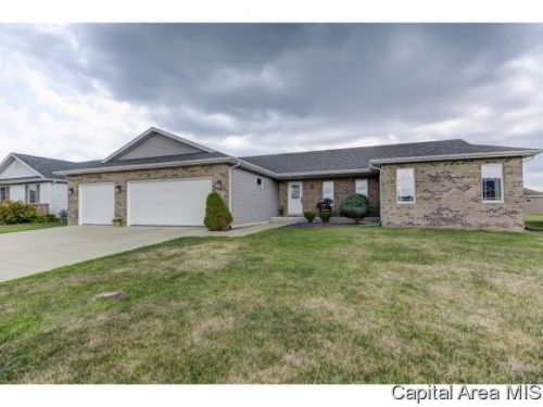 509 Waterwheel Dr, Buckhart, IL 62563-6212