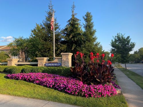 1386 Glenside Dr, Lemont, IL 60490-5445