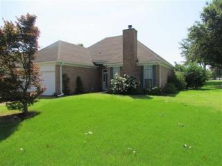 4079 Persimmon View Cv, Memphis, TN 38135-5184