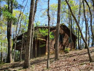 16 Stone Ridge Ct, Big Canoe, GA 30143-7995