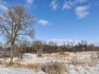 7350 Pioneer Trl, Loretto, MN 55357-9585