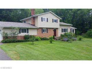 11585 Lower Chelsea Dr, Concord Township, OH 44024-9308
