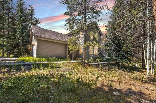 21 Saw Whiskers Cir, Montezuma CO  80435-7903 exterior