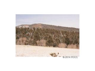 7150 Ranch Rd, Hartsel, CO 80449-8503