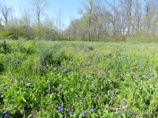 168 Wyndrose Estates Dr, Belleville, IL 62226-6912