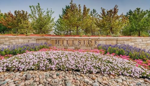 10520 Rutledge St, Parker CO 80134-3783 exterior