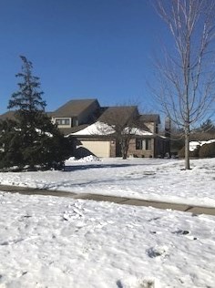 10690 Brookridge Dr, Frankfort, IL 60423-7906