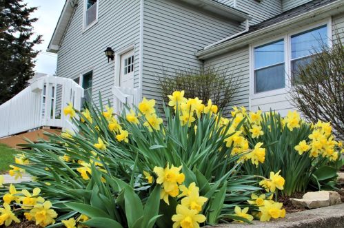 720 Chestnut St, Lemont, IL 60439-4201