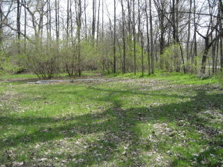 247 Cermak Rd, Braidwood, IL 60408-1351
