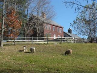 160 Stone Chimney Rd, Reading Center VT  05062-9602 exterior