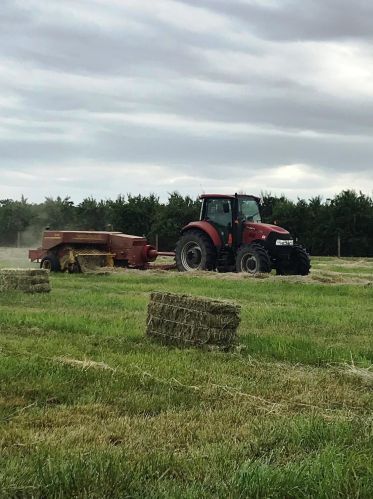 30999 Grooms Rd, Valley Home CA 95361-7513 exterior