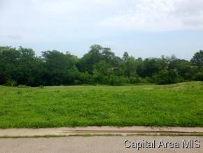 320 Grindstone Rd, Chatham, IL 62629-2054