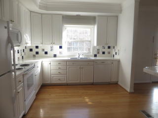 20336 Briarcliff Ter, Dulles VA  20165-3501 exterior